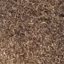 Boomschors Pinus Sylvestrus 15/25